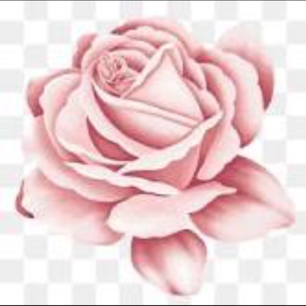 Meet your Posher, Ali